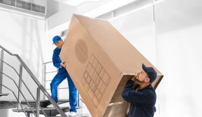 Professional workers carrying refrigerator